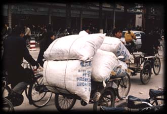 Street Cargo