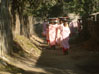 Nuns collecting alms,  Nyaung U