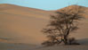 Dunes of Ouarane