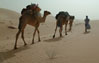 Dunes of Ouarane