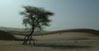 Dunes of Ouarane